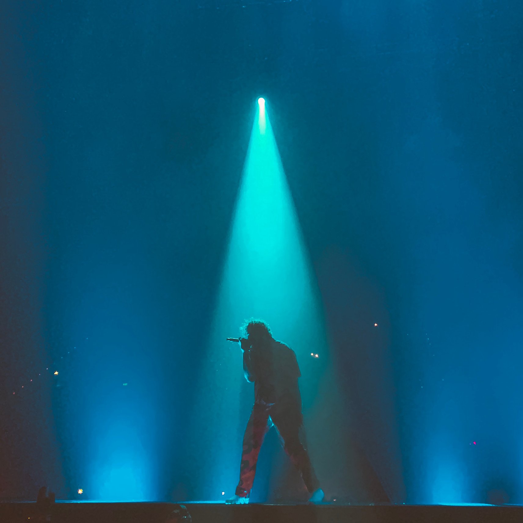 Person Holding Microphone on Stage